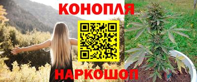 сатива Коммунар