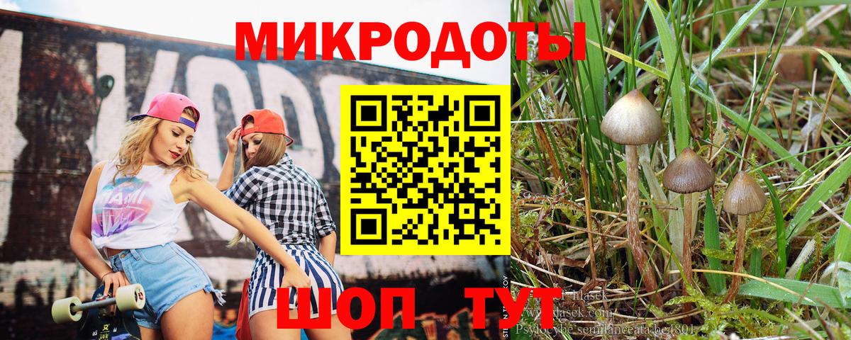 Галлюциногенные грибы мицелий Елабуга