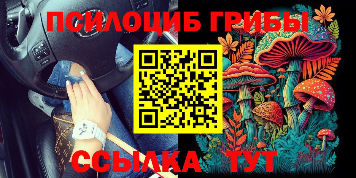 Псилоцибиновые грибы ЛСД  Вход с VPN  Псилоцибиновые грибы GOLDEN TEACHER  Елабуга 
