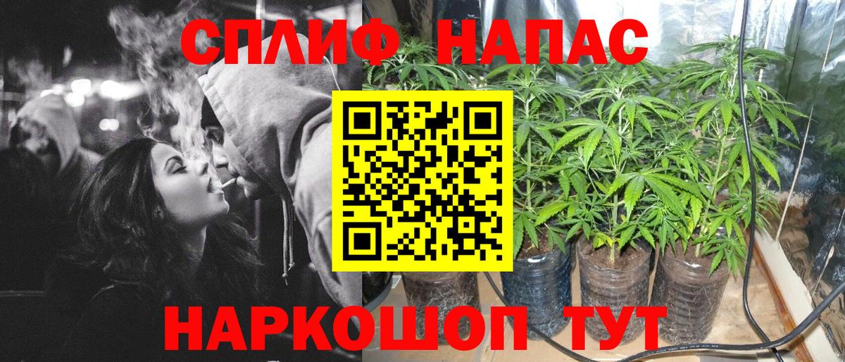 Шишки марихуана MAZAR Елабуга